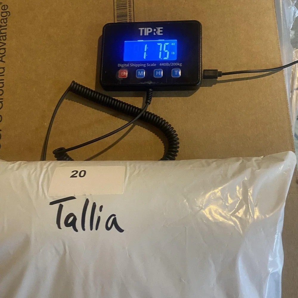 TALLIA brand macy